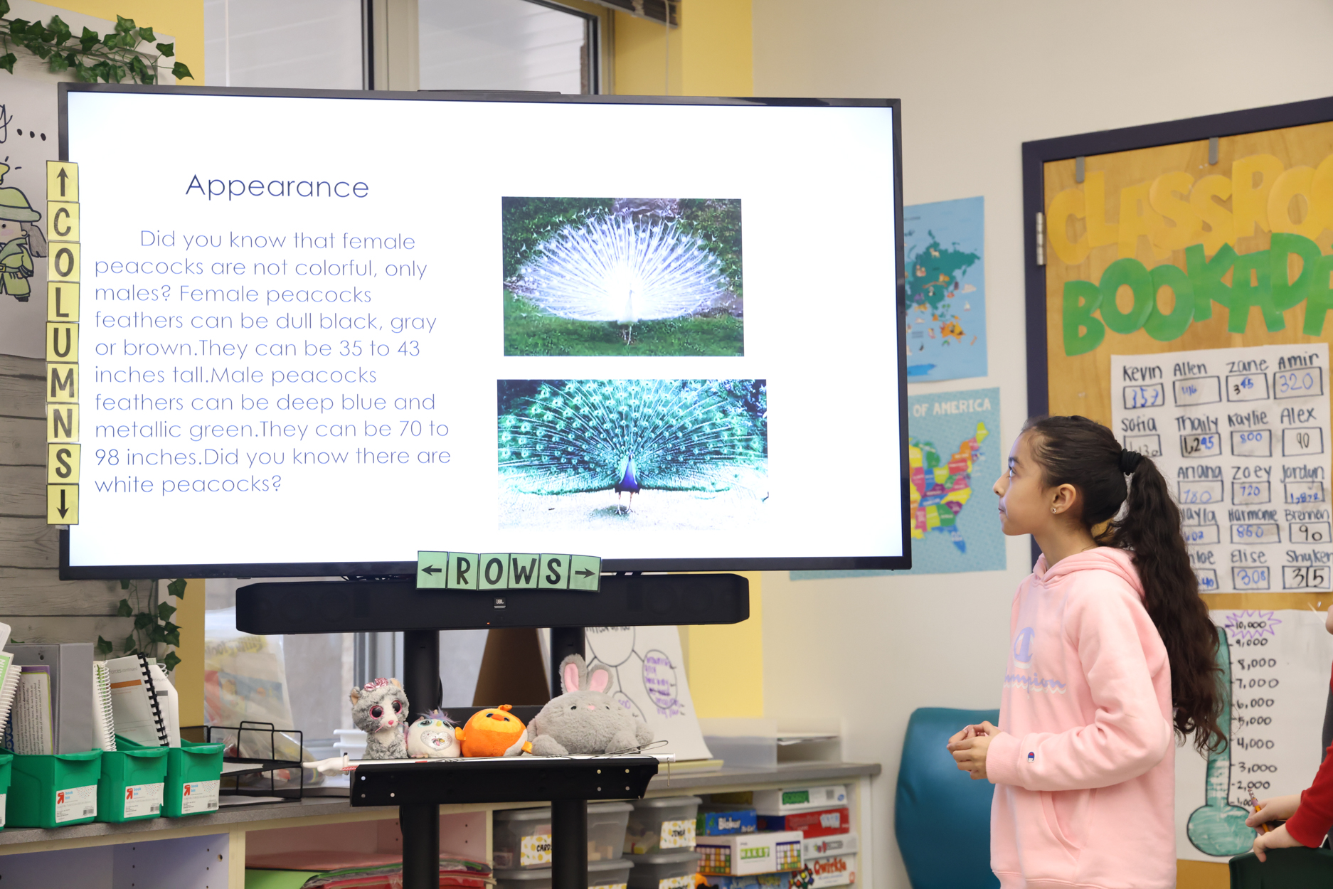 Pattonville Schools - Drummond third graders share animal research  presentations